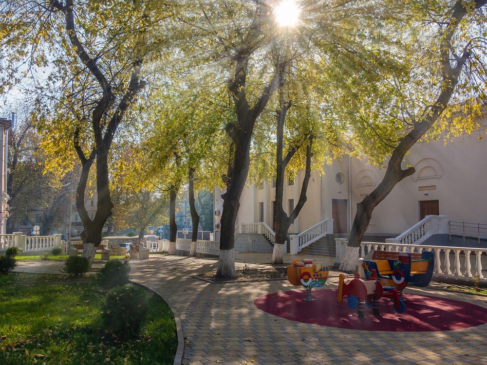 Photograph by Виталий Шкадинов