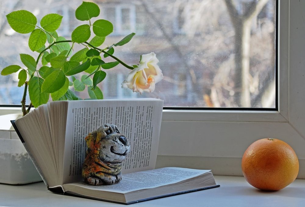 Уютный день.