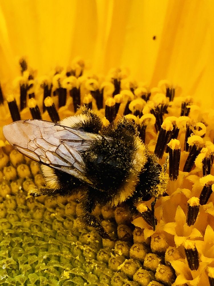 Photograph by Olga Oginskaya