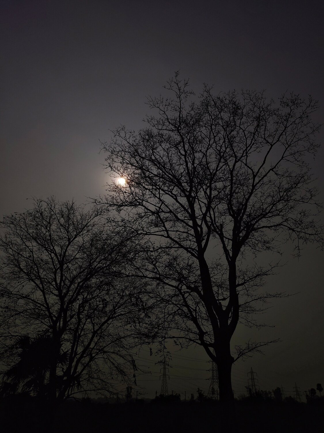 Photo #5672239