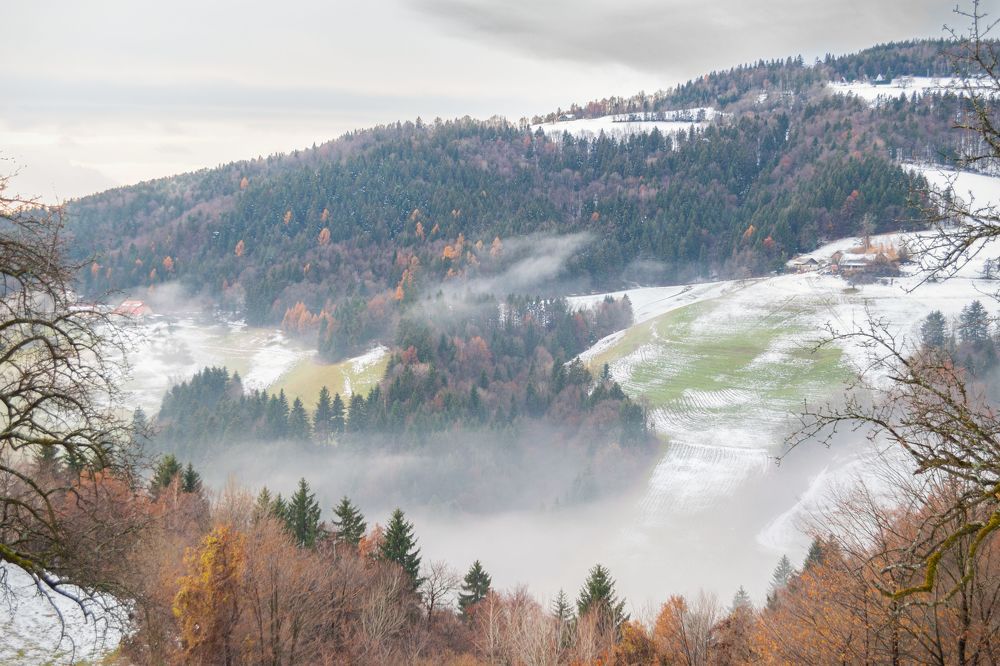 Photograph by Matija Verdnik