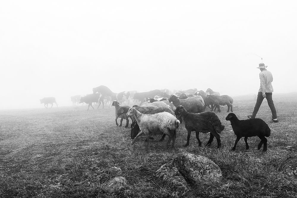 Фотография автора Iman Samady