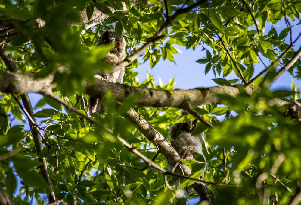 Фотография автора Andrej Levius