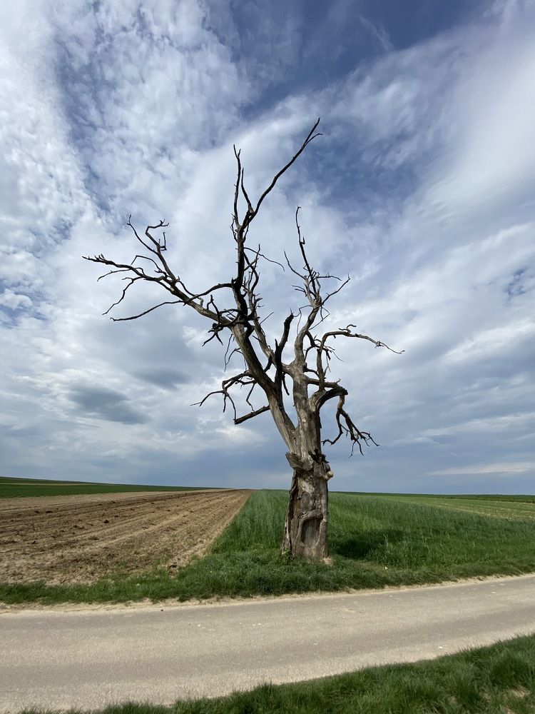 Photograph by Jarosław