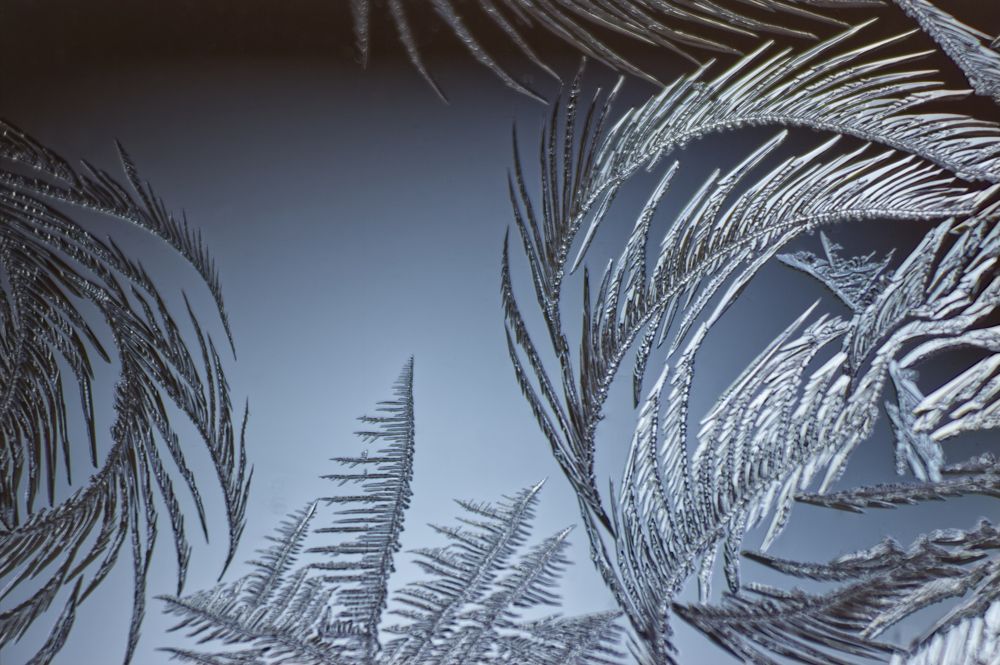 Ice flowers on the glass.