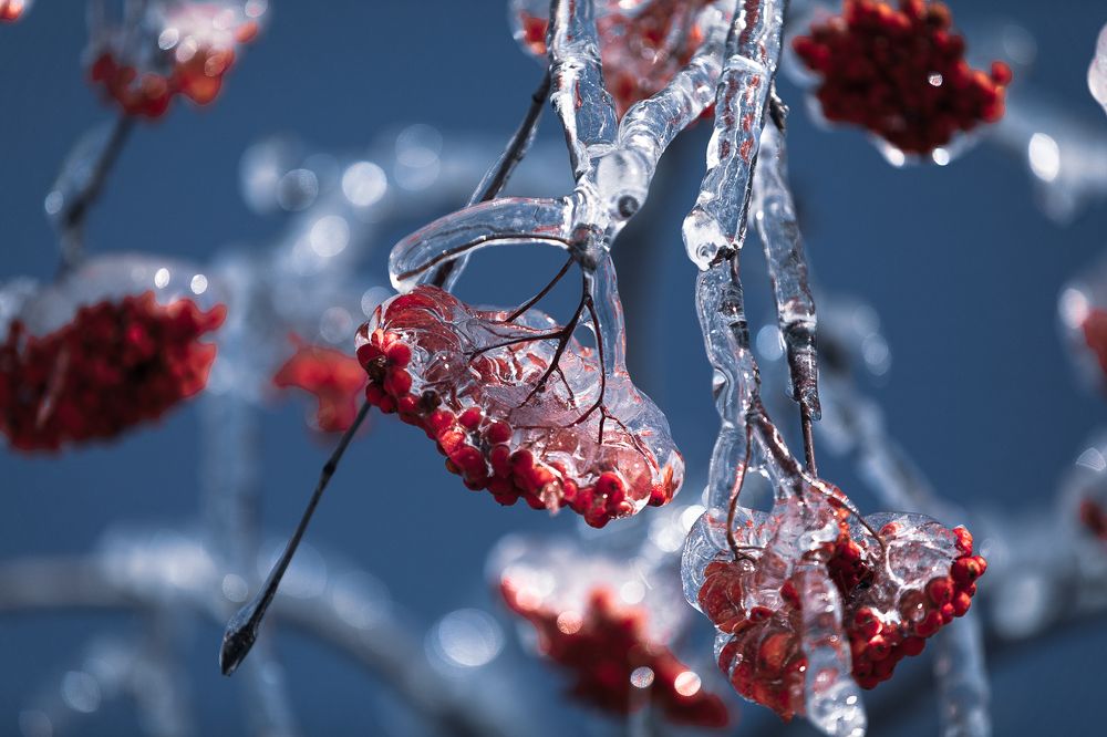 Photograph by Олег Семёнов