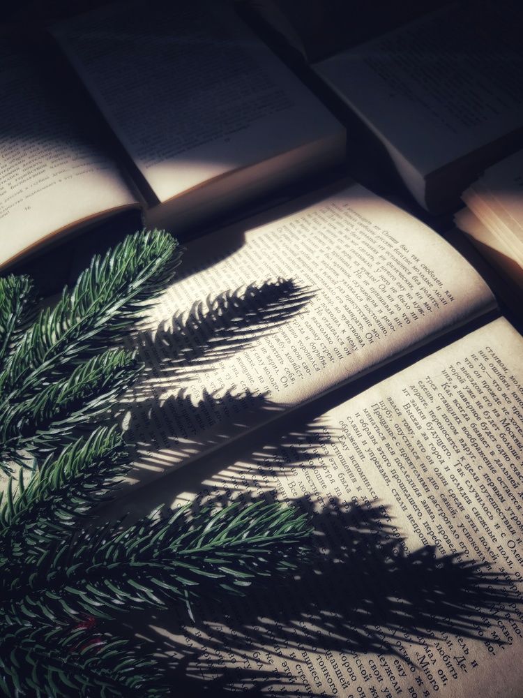 Фотография автора Ольга Игуменова