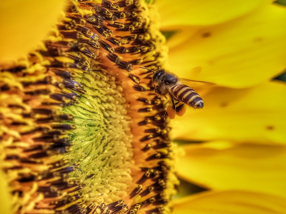 Photograph by Ipunk Agus Setiawan