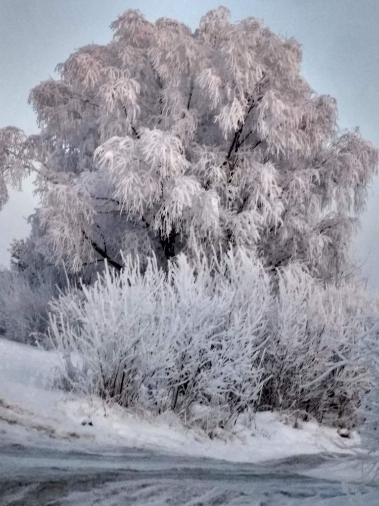 Photograph by Татьяна