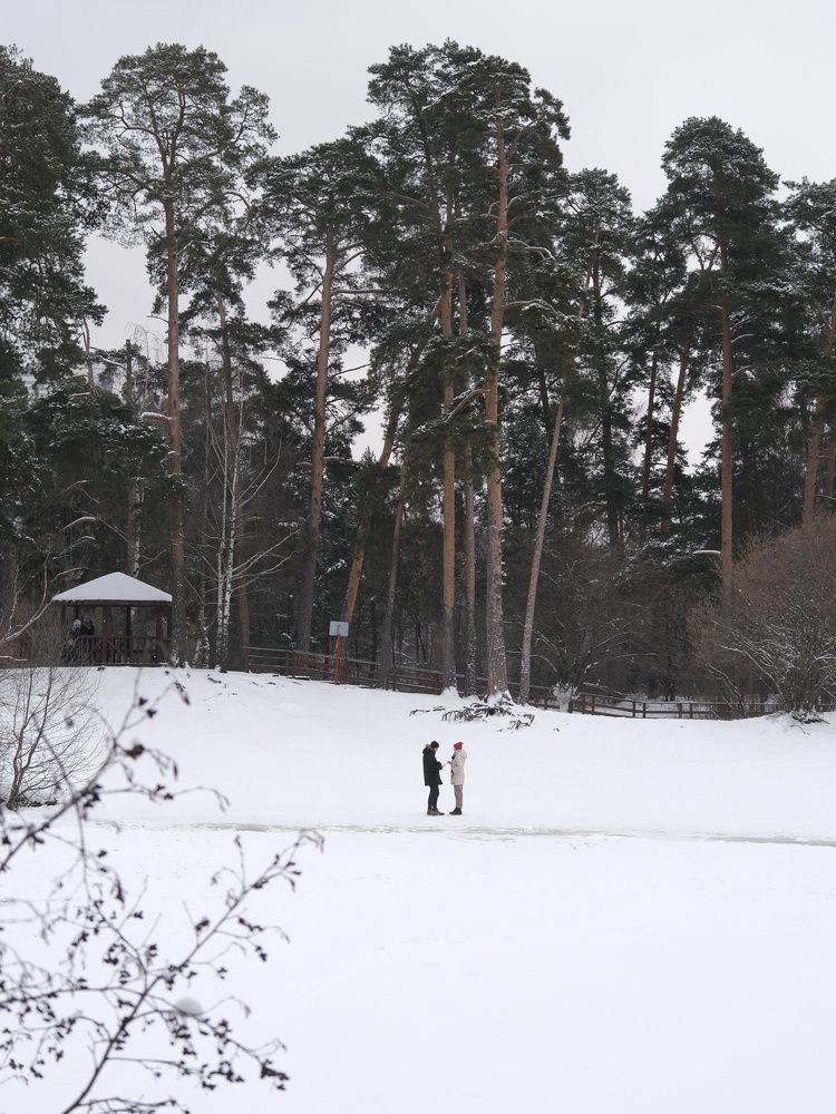 Love story in the forest