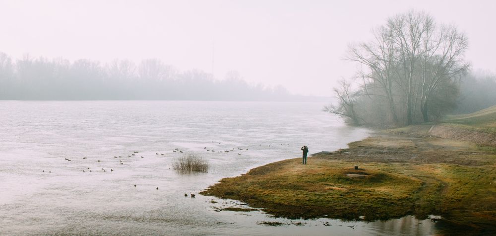 Фотография автора Amir H. Bakhtiari