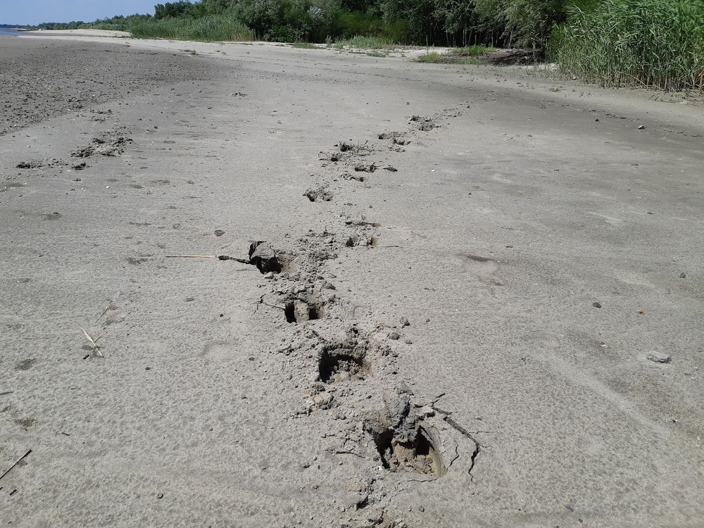 Photograph by ИГОРЬ