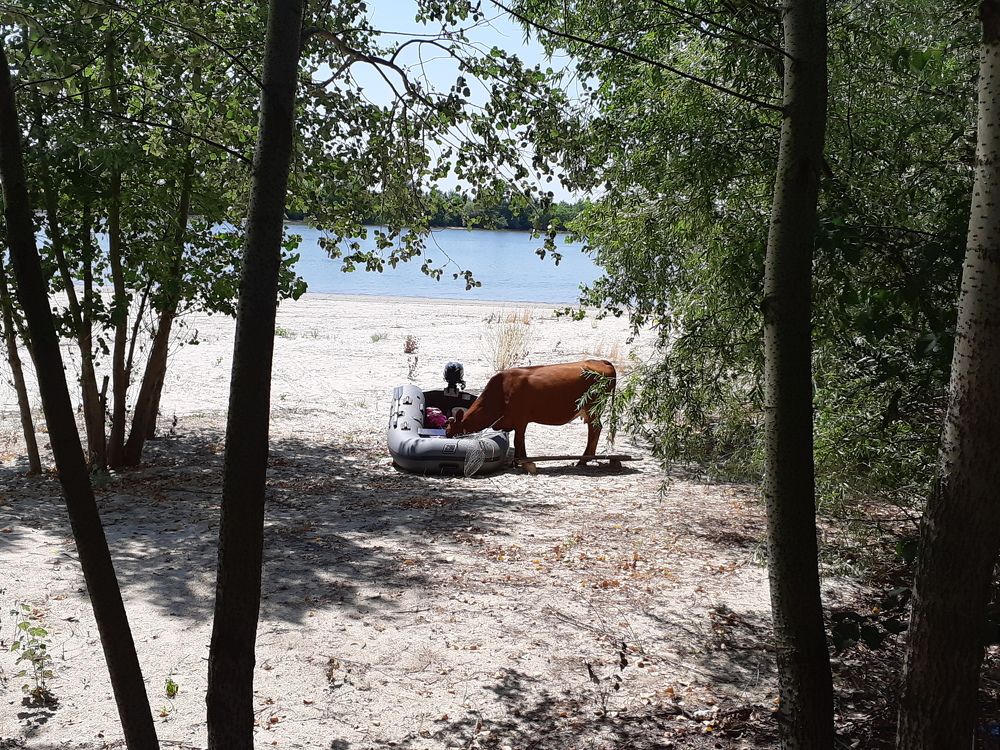 Photograph by ИГОРЬ