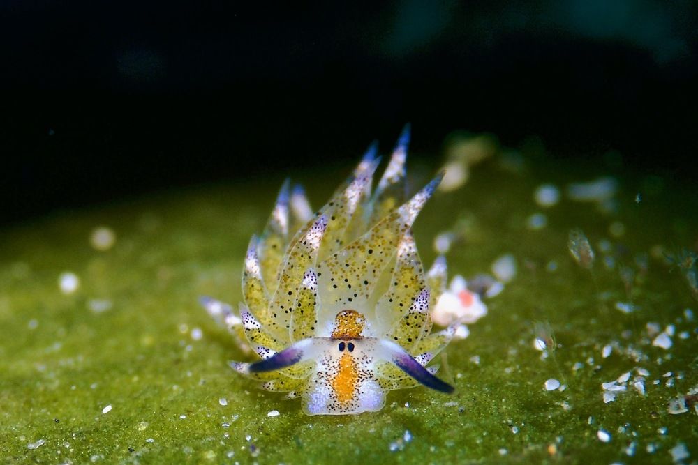 Photograph by Magali Marquez