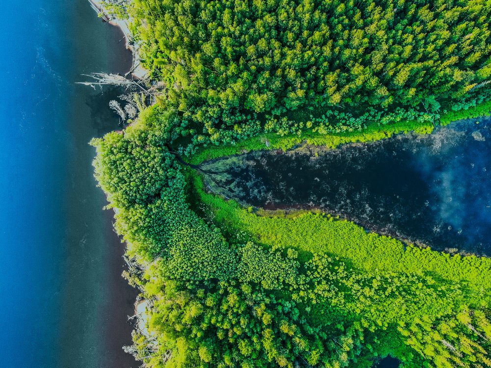 Photograph by Александр Литвинов