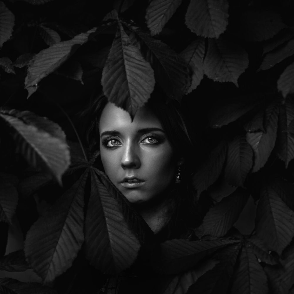 Photograph by Софья Сударикова