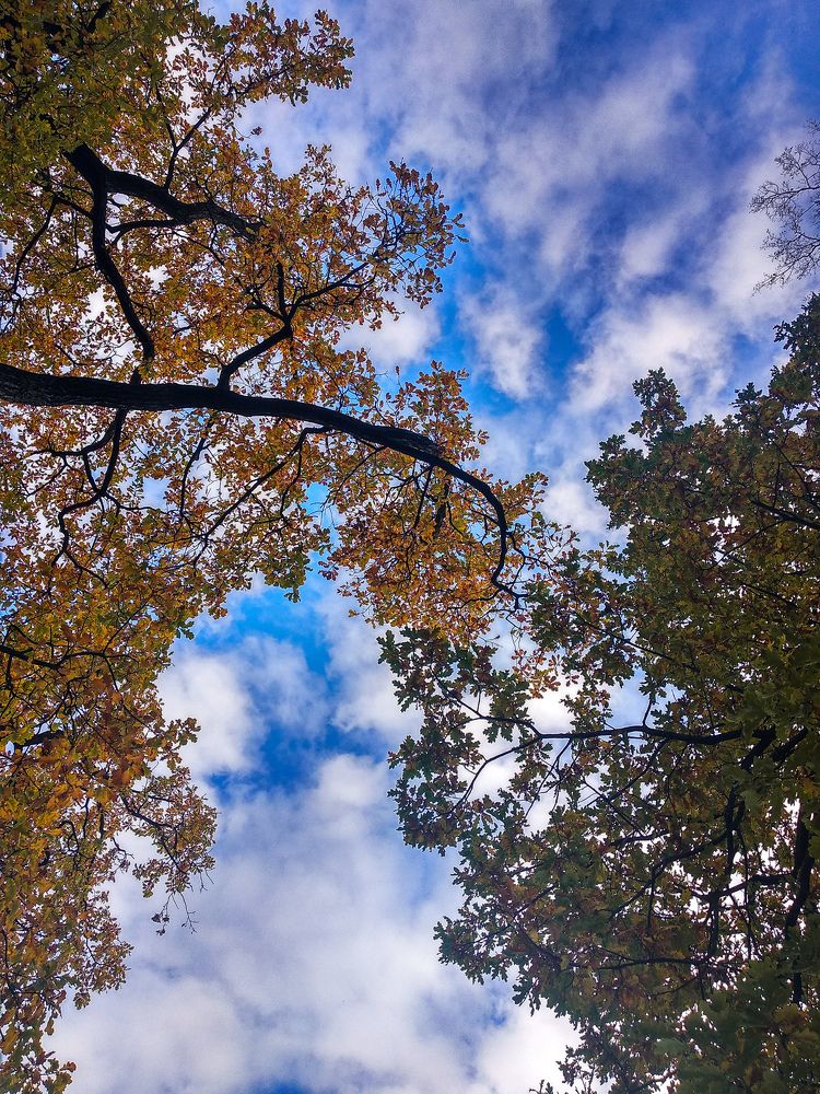 Photograph by Карина Бархударян