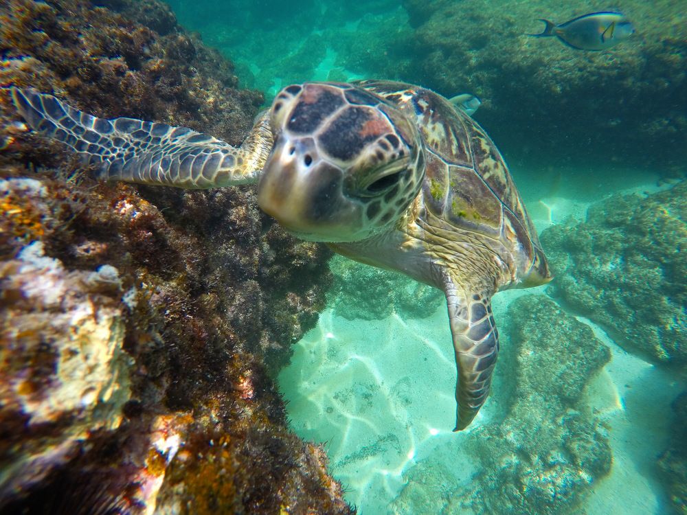 Photograph by Mohammad Pilehvar