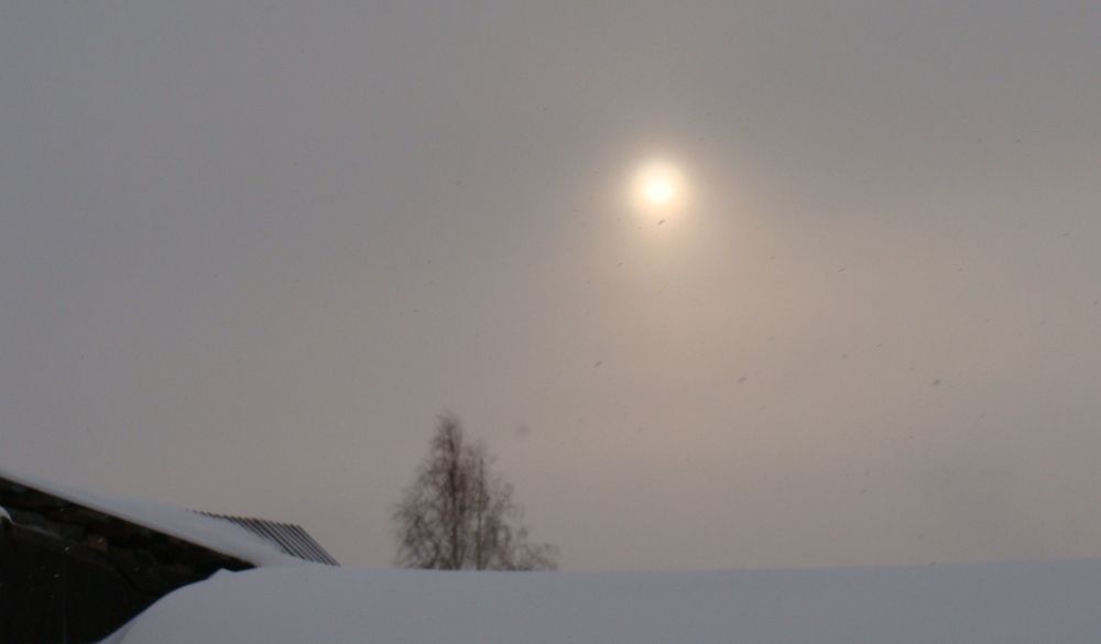 Photograph by Николай Худяков