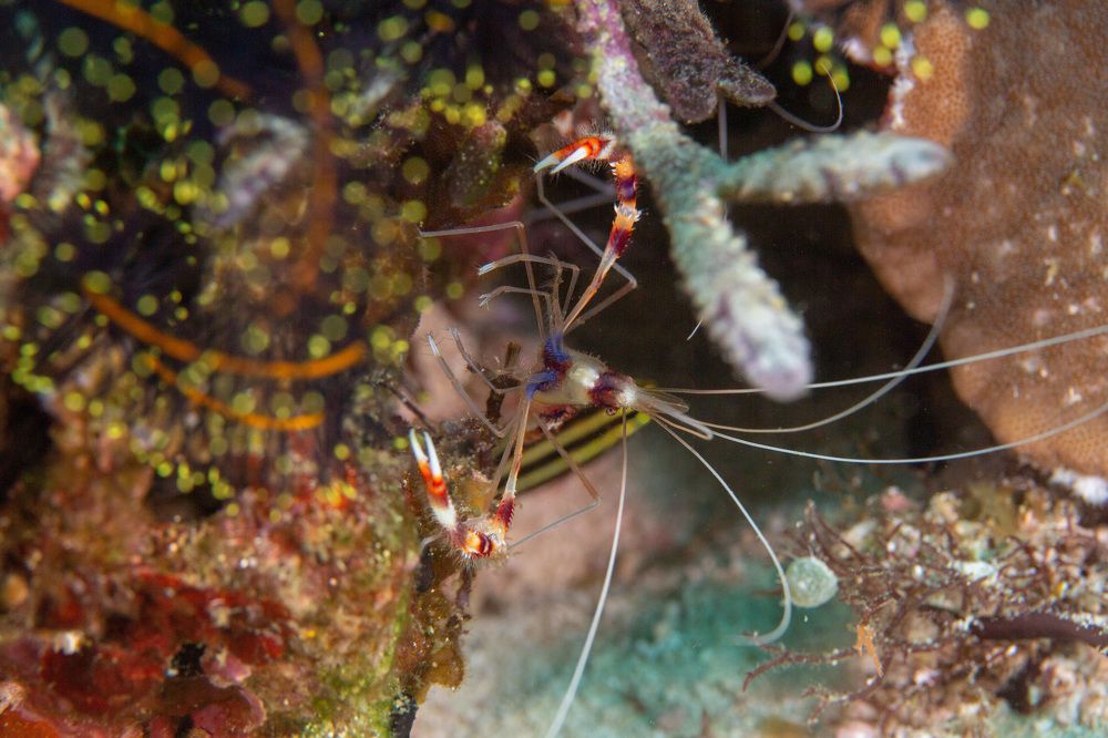 Photograph by Андрей Мальков