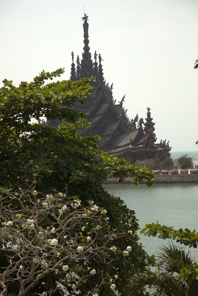 Photograph by Надежда Ткач