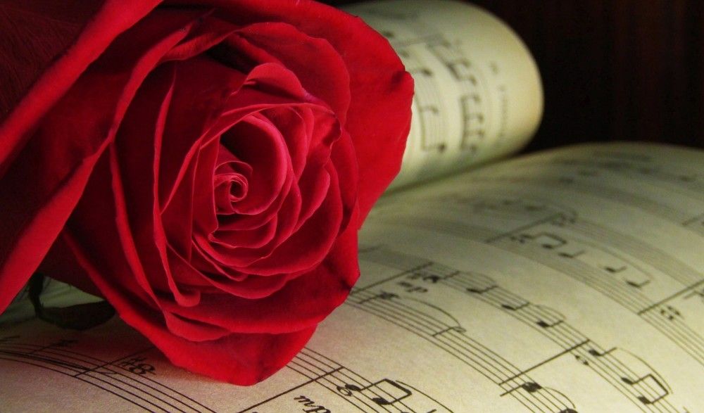 Photograph by Nadezhda