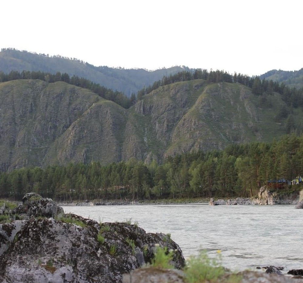 Photograph by Надежда Ткач