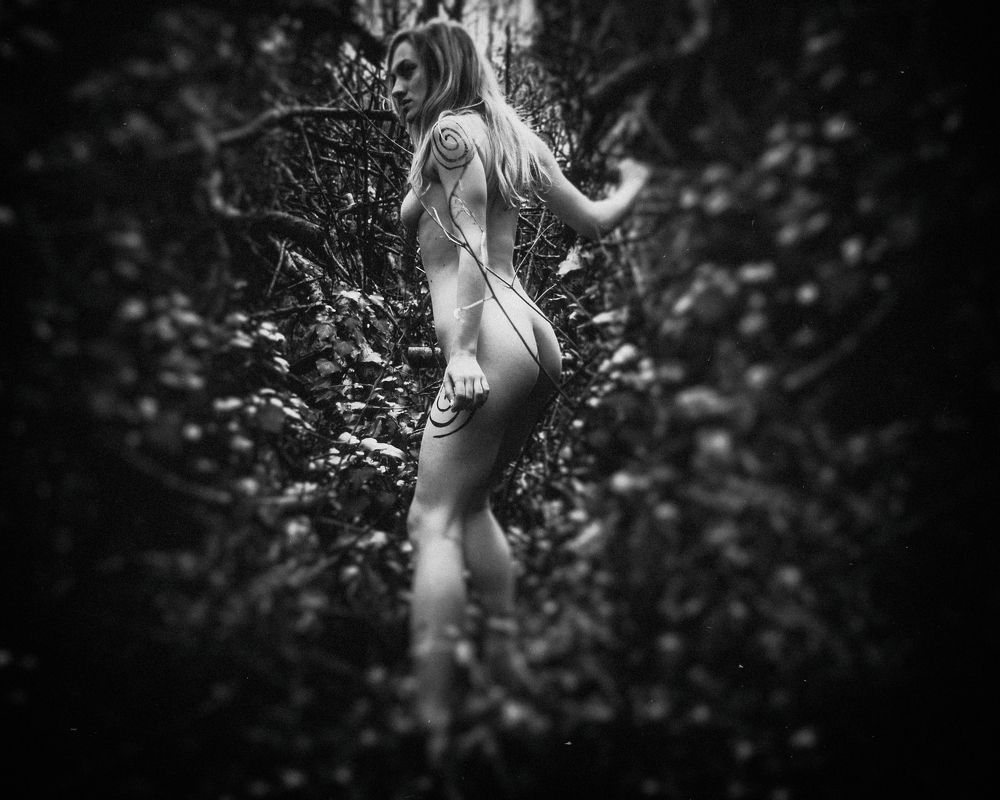 Фотография автора Moreno Matković