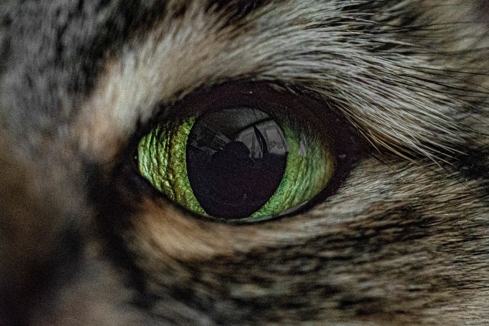 Photograph by Виктор Степанов