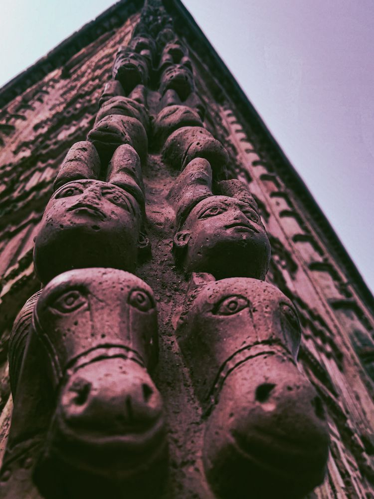 Photograph by Sneha Saha