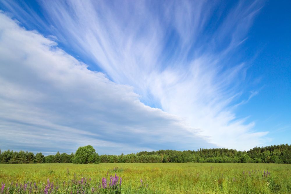 Photograph by Елена Фокина