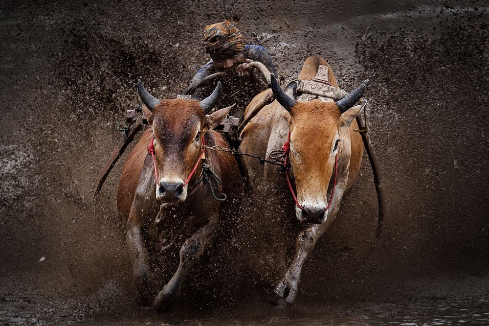 Photograph by Muhammad Waliyuddin bin Ahmad