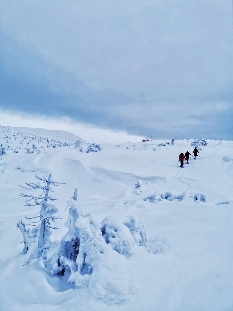 Walking up the snow-covered mountain