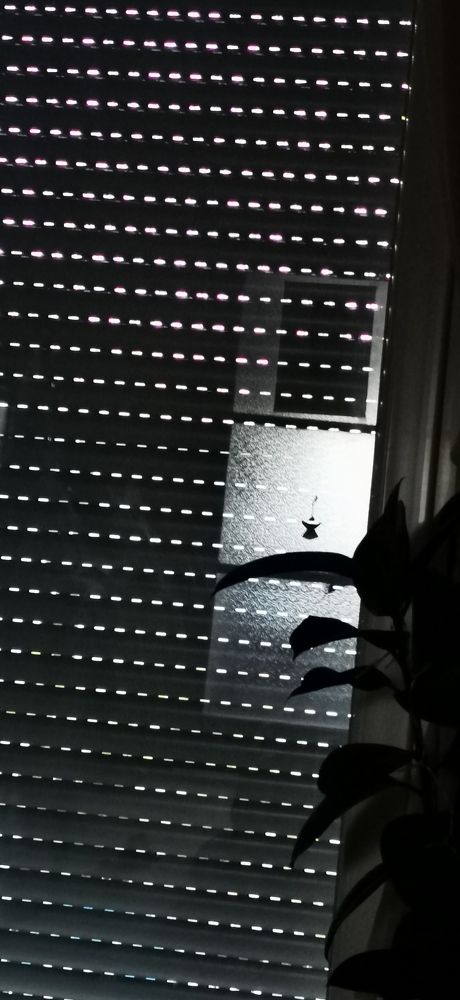 Фотография автора Meenakshi Ghosh