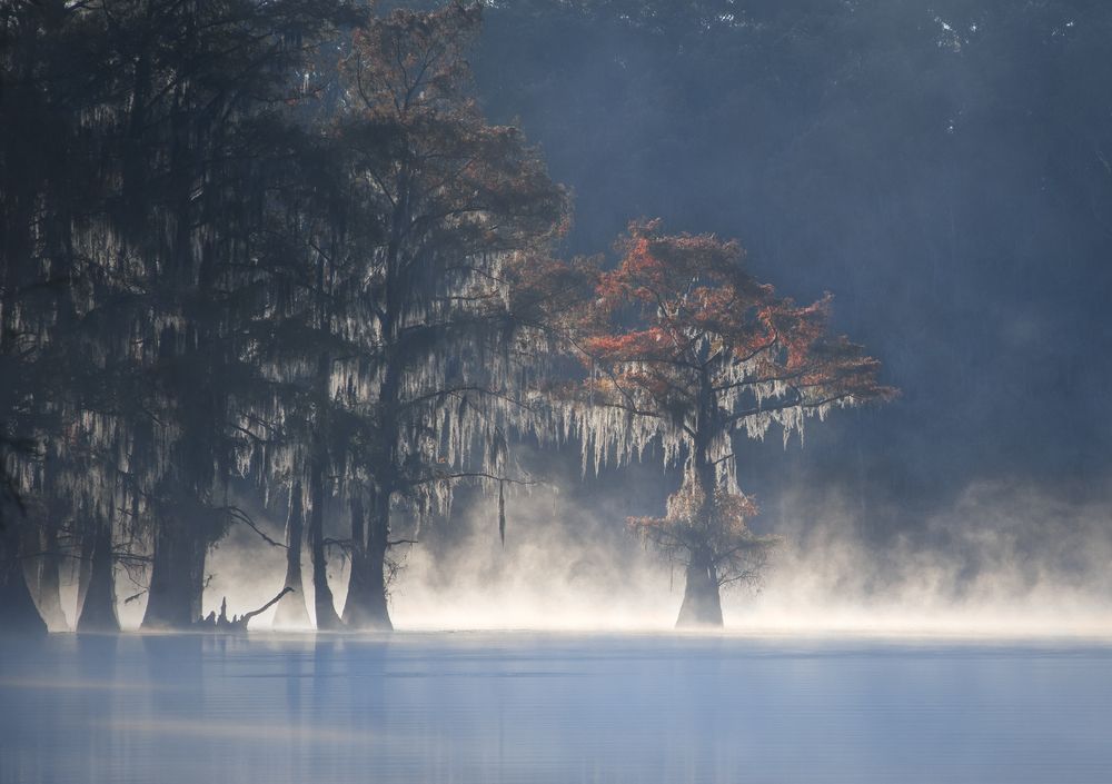 Photograph by Екатерина Сысоева