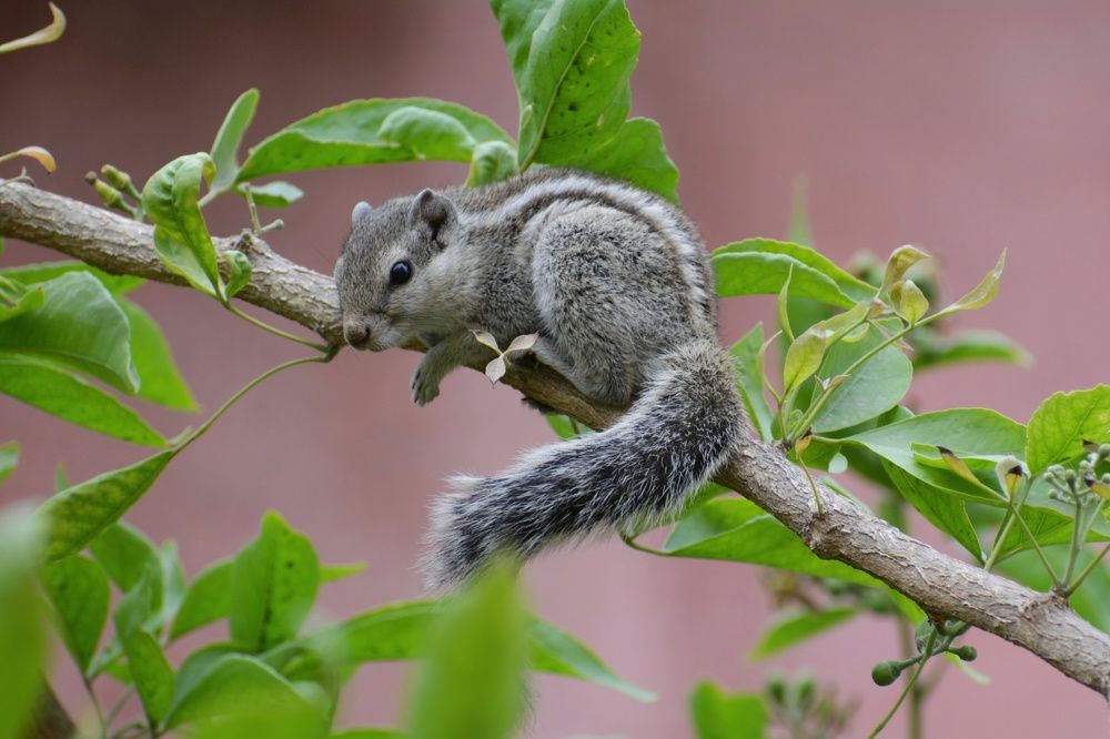 Photograph by Shoumik Bhattacharya