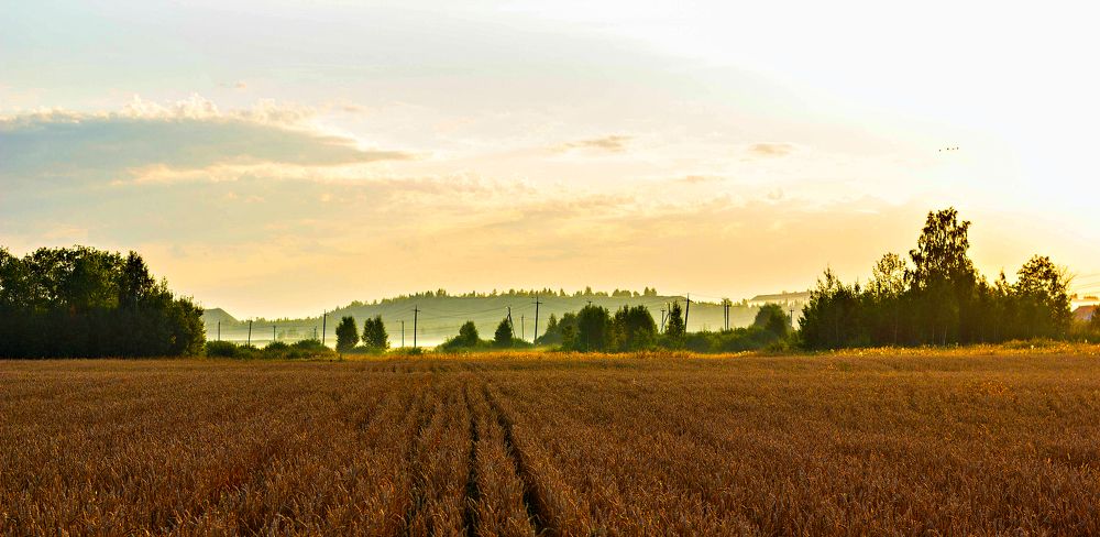 Photograph by Юрий Яковлев