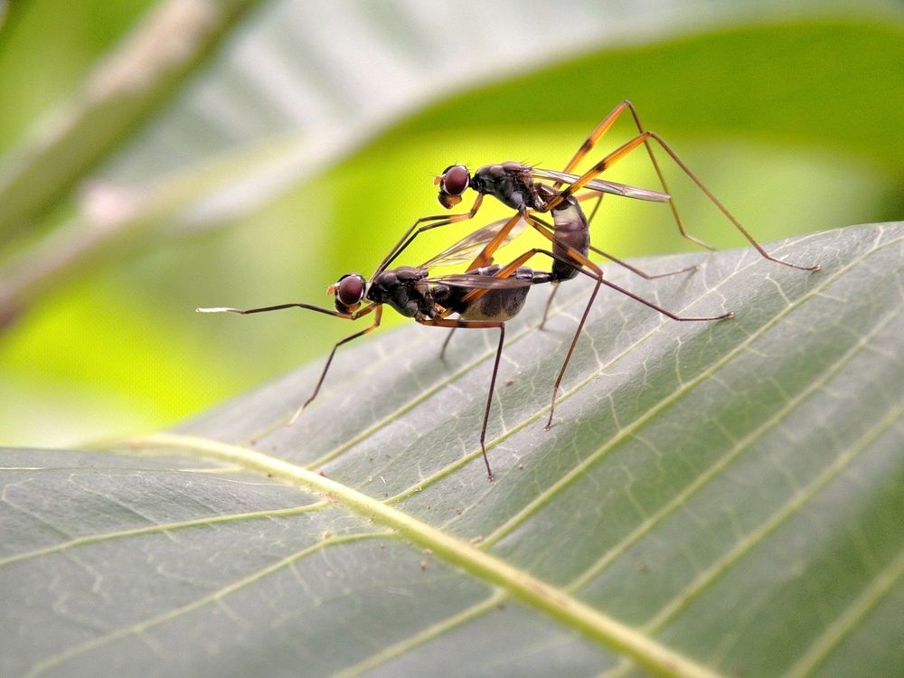 Photograph by Miftah Thecobra