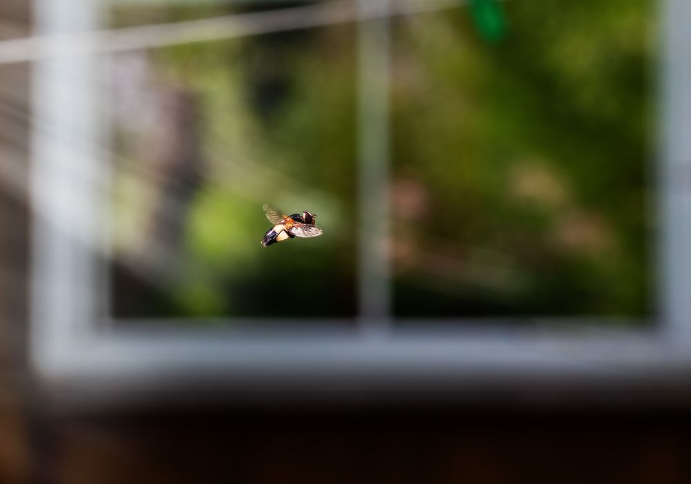 Photograph by Сергей Пискарёв