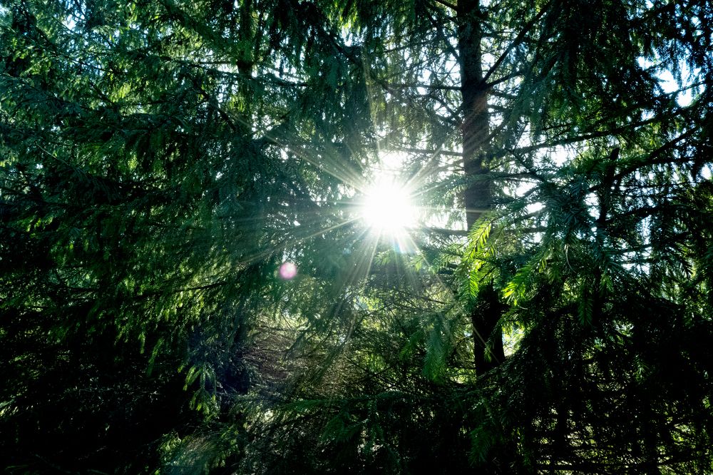 Photograph by Ирина Тихомирова