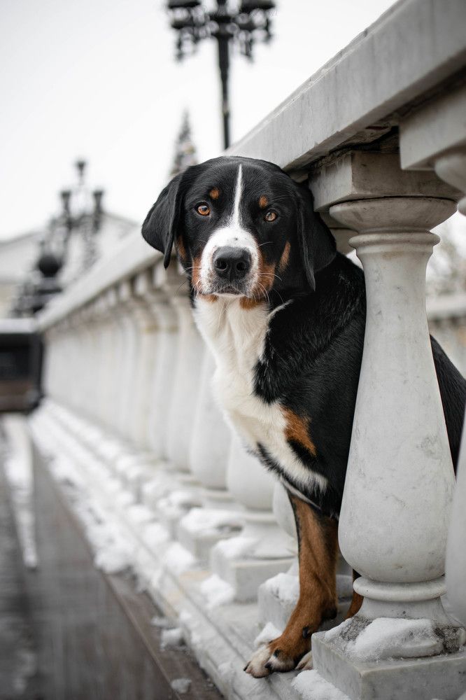 Photograph by Дарья Зайцева