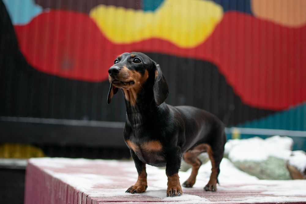 Photograph by Дарья Зайцева