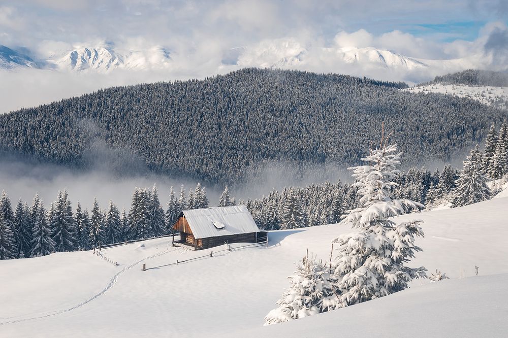 Фотография автора Андрей [Seencleyr] Чуяшенко