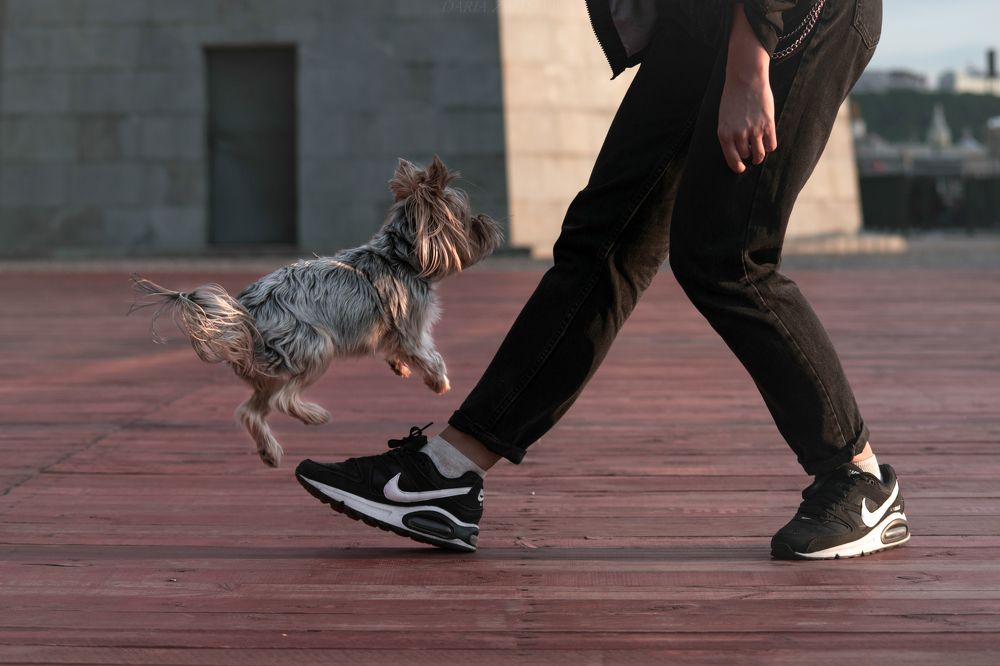 Photograph by Дарья Зайцева