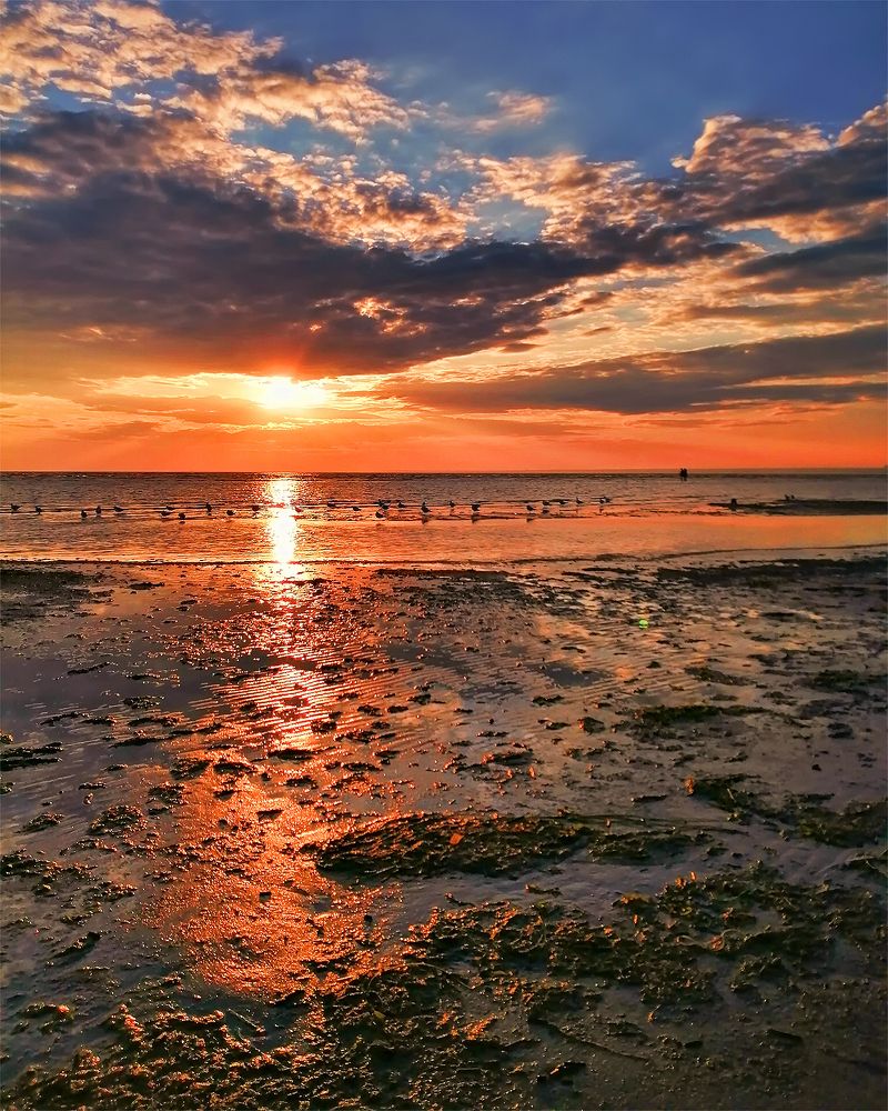 Магия заката. The magic of the sunset.