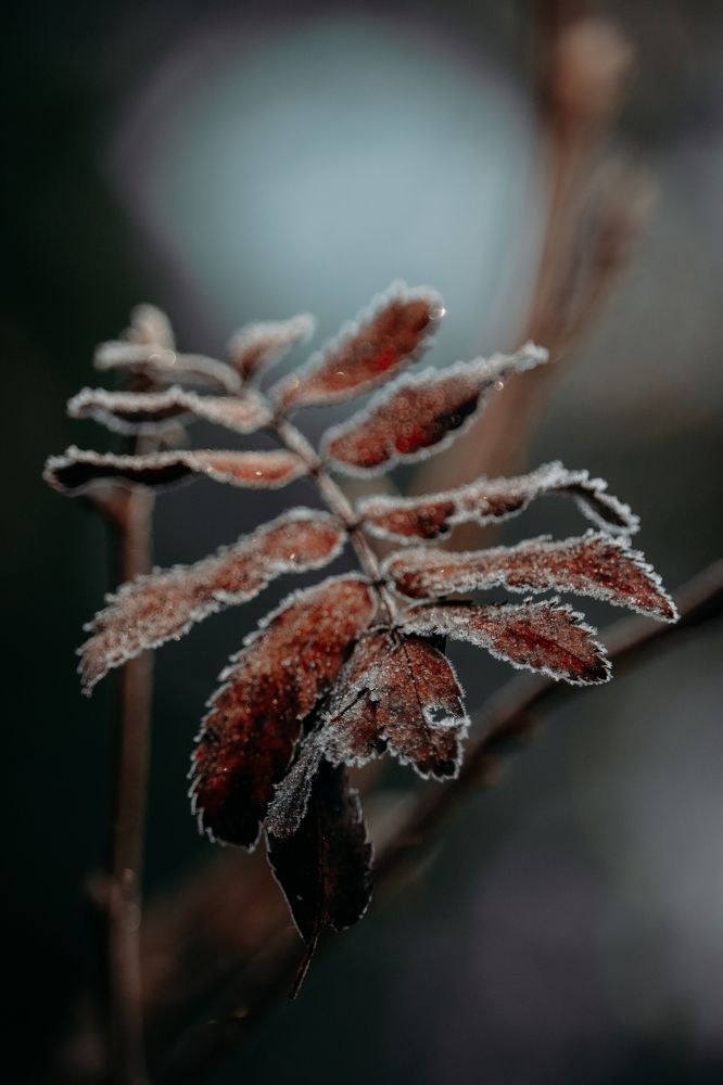 Photograph by Aleksandra Bogdanova