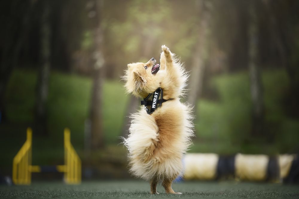 Photograph by Deise de Oliveira