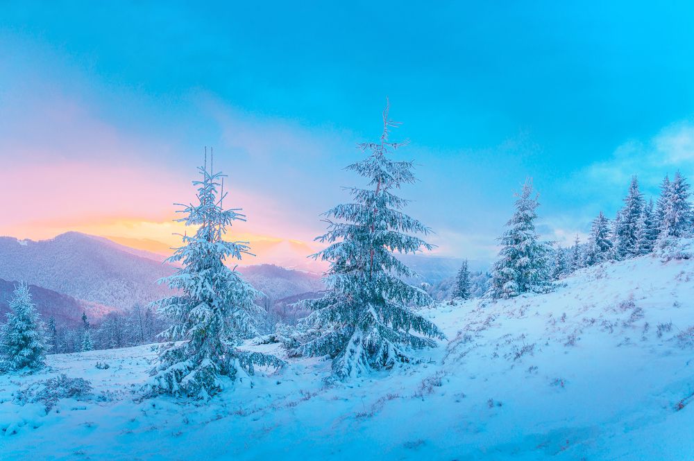 Фотография автора Андрей [Seencleyr] Чуяшенко