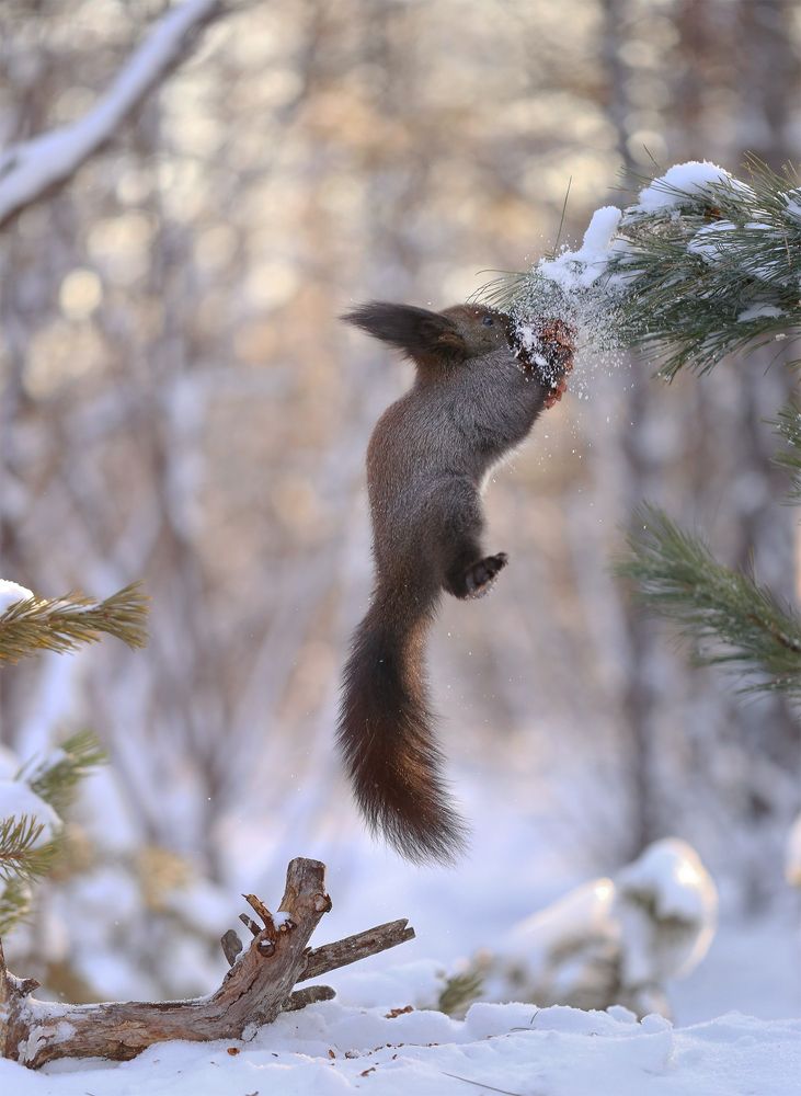 Photograph by Евгения Левина