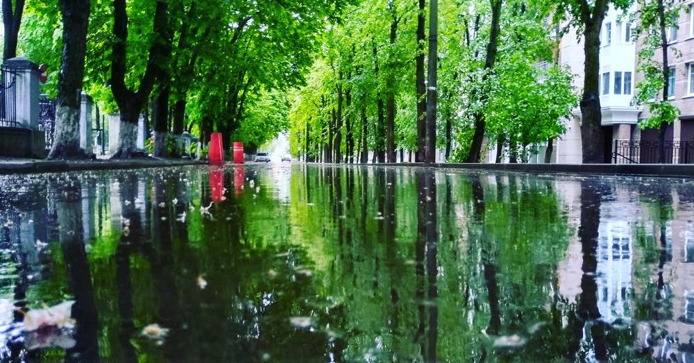 Photograph by Алексей Ивакин